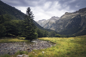 Exploring the serene landscapes of Vall d'Aran in Catalonia