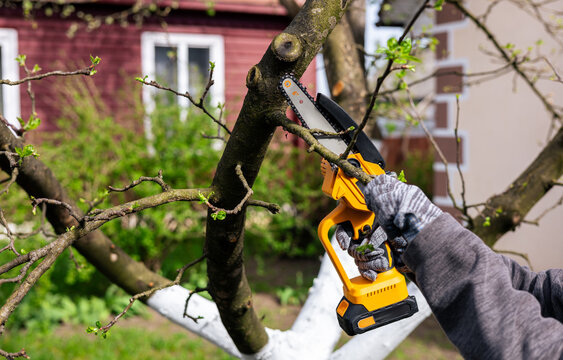 A gardener trims tree branches with a lithium battery-powered hand-held chainsaw. A hand holds a mini chainsaw with a battery to cut a tree branch on a sunny day.