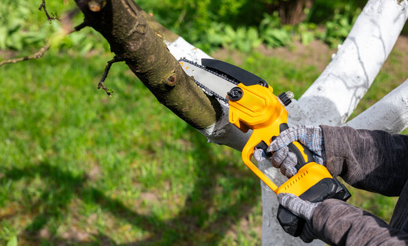 A gardener trims tree branches with a lithium battery-powered hand-held chainsaw. A hand holds a mini chainsaw with a battery to cut a tree branch on a sunny day.