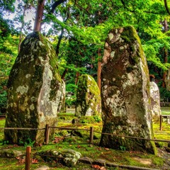 Moss-covered stones stand in a serene garden