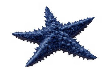 Blue starfish isolated with transparent background representing marine life, aquatic ecosystem, and ocean biodiversity