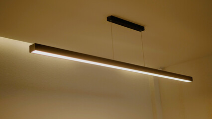 The light bulb provides illumination for interior spaces in homes and shops. It has a warm, modern, soft yellow light.