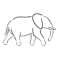 Fototapeta premium Elephant vector illustration black ink outline. Hand Drawn. Elephant line art logo icon design. Simple modern minimalist animal logo icon illustration vector. Elephant icon, vector sketch illustration