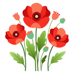 Fototapeta premium Vibrant red poppies with green leaves and buds on black background