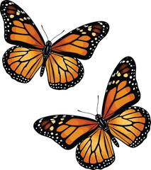 Fototapeta premium Two monarch butterflies flutter gracefully against a soft lavender backdrop with faint butterfly silhouettes vector