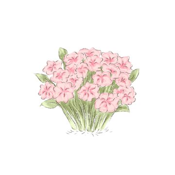 bouquet of roses