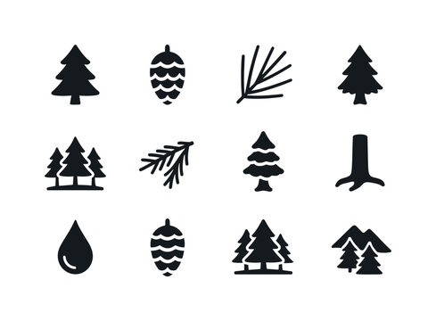 Spruce Icon Collection. Spruce. Solid icon set of Spruce: spruce tree, pinecone, needle cluster, tree silhouette, forest grove, evergreen branch, snow-covered
