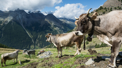 Arpeggio valle d'aosta