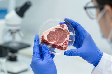Lab-grown meat in petri dish