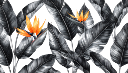 Vivid orange bird-of-paradise flowers among grayscale tropical foliage