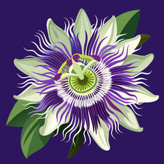 A vibrant passionflower bloom with detailed petals and a purple center
