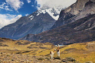 Torres del Paine National Park, Patagonia, Chile