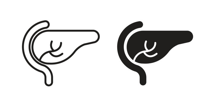 pancreas icons set designed in filled, outline, line and stroke style