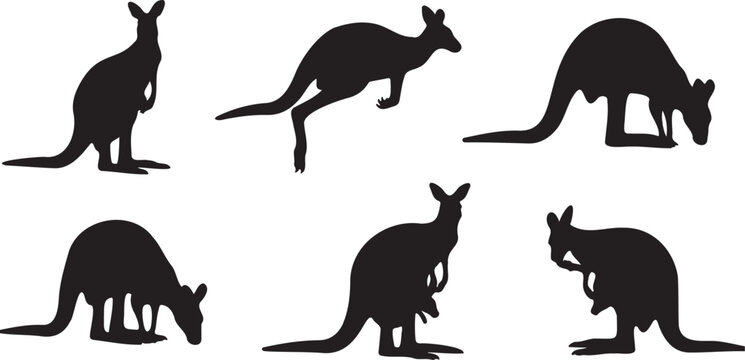 Set of 6 Black Kangaroo Silhouettes Vector