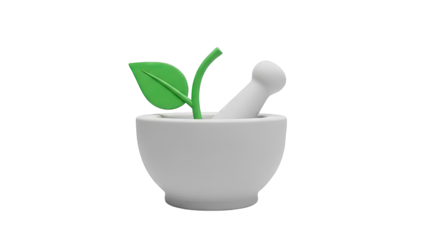 Mortar and Pestle with Green Leaf