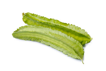 pile of winged beans, also known as cigarillas, manila or four-angled or goa beans, asparagus pea, tropical legume vegetable isolated on a white background