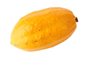 Cacao fruit or pod, containing fresh cacao beans. isolated on a white background