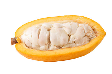 A cross-section of a cacao or cocoa fruit pod isolated on a white background