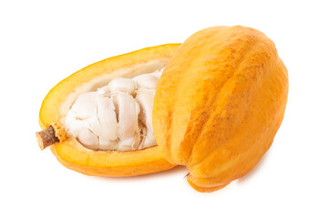 A cross-section of a cacao or cocoa fruit pod isolated on a white background