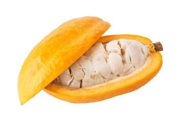A cross-section of a cacao or cocoa fruit pod isolated on a white background