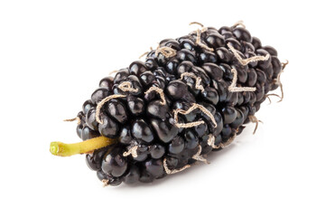 A mulberry, a type of edible berry that grows on trees of the Morus genus, isolated on a white background