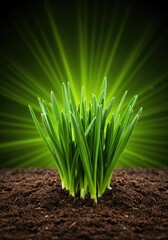 Explosive emergence of vibrant green plant life bursting through fertile soil, signifying powerful growth, spring, and renewal energy ,detail ,burst ,sprouting