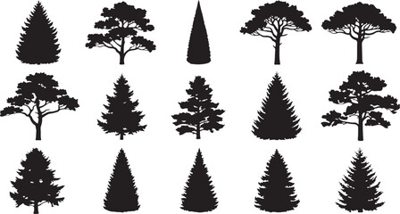 Collection of pine, fir, and evergreen tree silhouettes. Coniferous forest vector illustrations and black tree icon set.