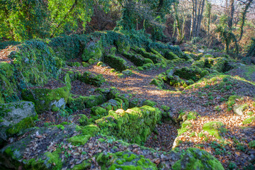 Marta Ravine of Valdastillas, Jerte Valley, Caceres, Extremadura, Spain