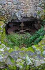 Marta Ravine of Valdastillas, Jerte Valley, Caceres, Extremadura, Spain
