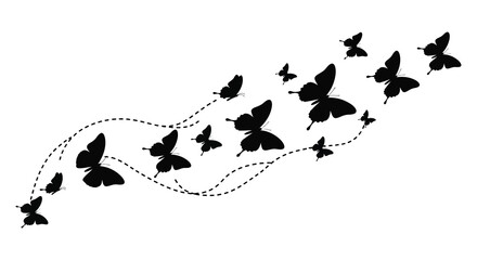 a flowing design of butterflies following a dotted path embodying freedom and delicate beauty silhouette © rabbivay