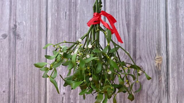 a bouquet of mistletoe branches
