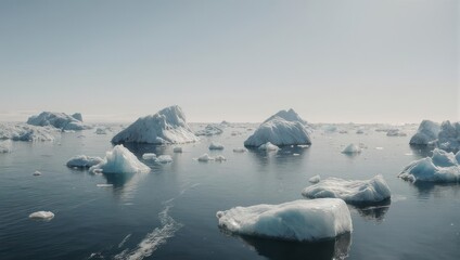 Icebergs scattered across a calm ocean