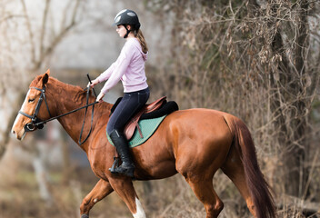 A young girl riding a chestnut horse in rural countryside.