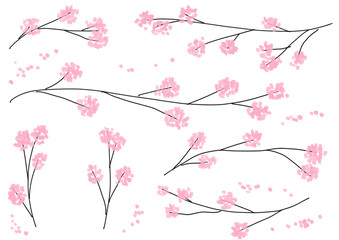 Watercolor cherry blossom branch elements for spring background　春の桜の木の枝の水彩イラスト