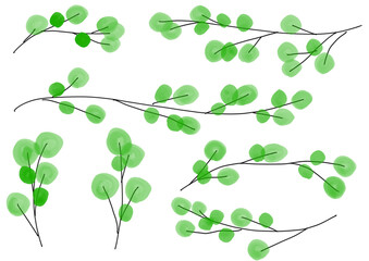 Watercolor spring branch elements for nature background　春の新芽のついた枝のイラストセット