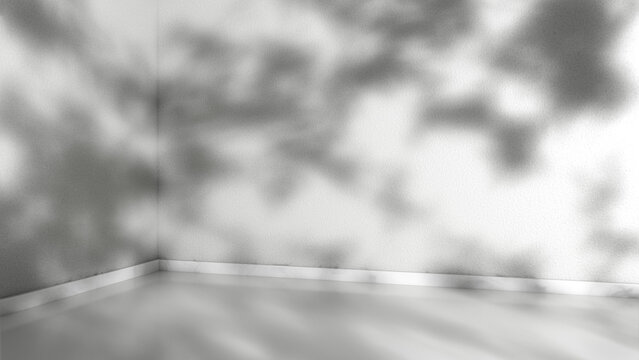 Abstract shadows on a white wall in a minimalist interior space