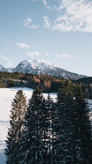 Snowy winter mountains in oberweng upperaustria