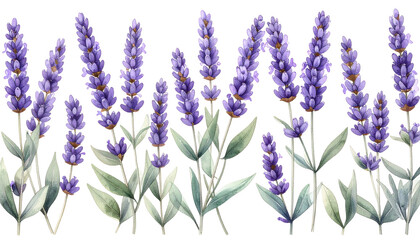Obraz premium Watercolor illustration of a lavender flower border with green leaves