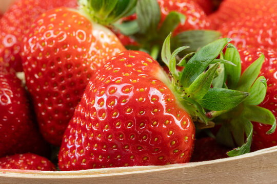 un Panier de fraises fra&icirc;ches