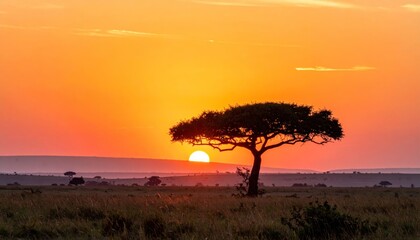 African Sunset Silhouette - A Lone Tree Against a Vibrant Sky.