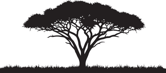 Vector acacia tree with broad canopy silhouette. Savanna landscape icon for natural