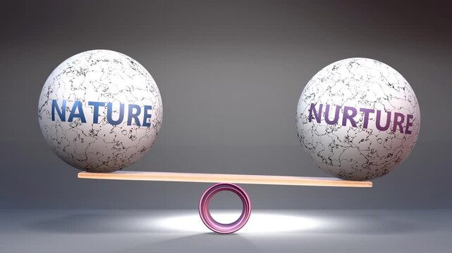 Nature and nurture in balance - balancing stones on a scale symbolizing harmony, equity and equilibrium between nature and nurture. Harmonious and beneficial situation.