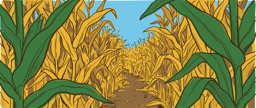 Golden yellow cornfield with a dirt path winding through the tall stalks, illustrated in a retro comic book style with bold outlines and halftone dot patterns