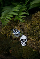 occult amulet in form of human skull and talisman of pentacle on moss close up, mystery forest. Mysticism, divination, wicca, occultism concept. magic, Witchcraft, esoteric ritual. top view
