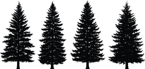 Silhouette of pine trees set, evergreen coniferous forest shapes, black tree outlines isolated on white background, vector nature collection © Creative Rejia
