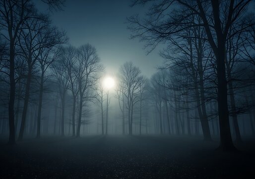 Mystical forest path in fog - Powered by Adobe