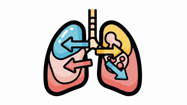 Stylized illustration of lungs showing air intake and gas exchange