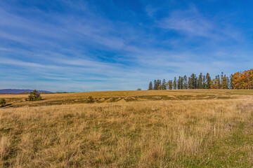 Landscapes, Forest, Carpathians, Photos of nature - Europe, Eastern Europe