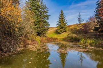 Landscapes, Forest, Carpathians, Photos of nature - Europe, Eastern Europe