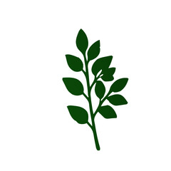 Fototapeta premium A simple, stylized illustration of a dark green leafy branch on a white background.